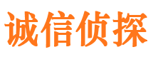 怒江市侦探调查公司